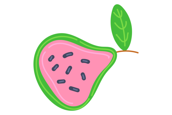 Guava Color Icon: A Tropical Twist on Exotic Fruit Design
