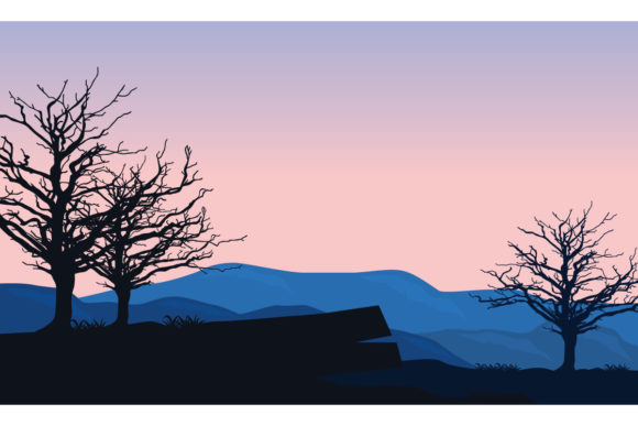Incredible Morning Sky Color: A Designer's First Light