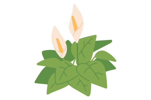 Peace Lily Color Icon: House Plant Flower for Modern Branding