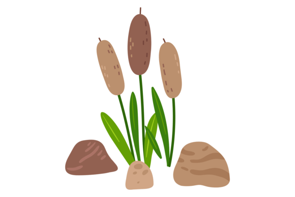 Swamp Reeds: Exploring the Green Wetland Plants Color